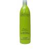 salone rigen shampoo limpieza profunda 500ml
