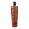 Shampoo Reestructurante anti-age acelera la producción de keratina 500ml - LVB Beauté