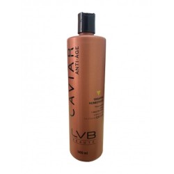 Shampoo Humectante aporta fuerza y resistencia, cabello nutrido y humectado 500ml - LVB Beauté