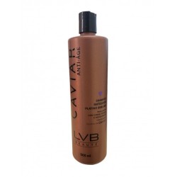 Shampoo Matiz Platino Sublime 500ml - LVB Beauté