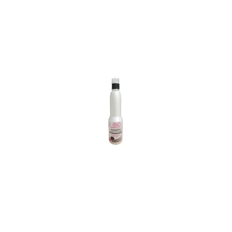 Liso Perfecto Shampoo Bifásico 330ml - Estilista